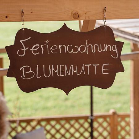 Wellness Pension Am Rain Winden im Elztal Kültér fotó